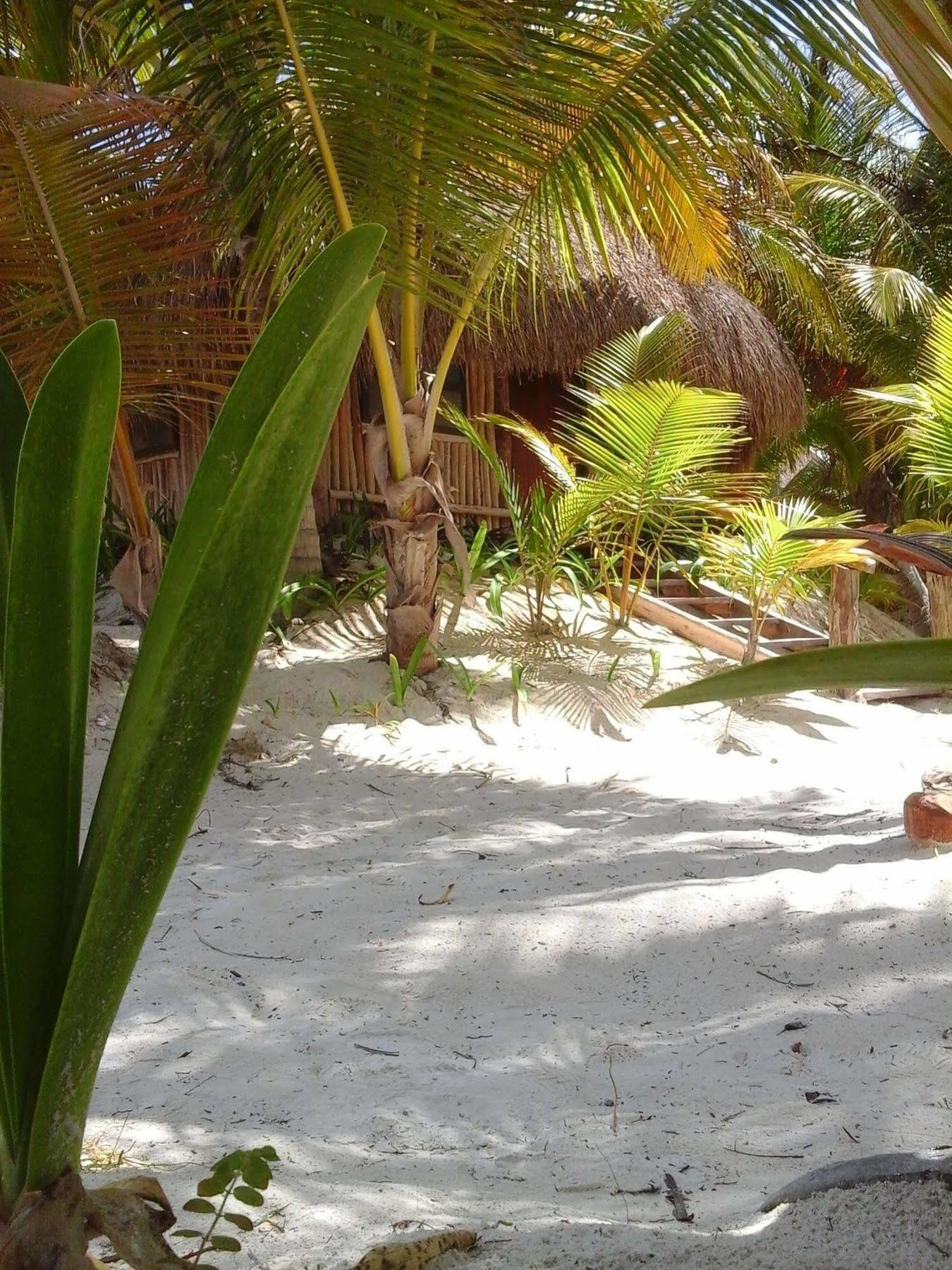 Hotel Zazil Kin Tulum Dış mekan fotoğraf