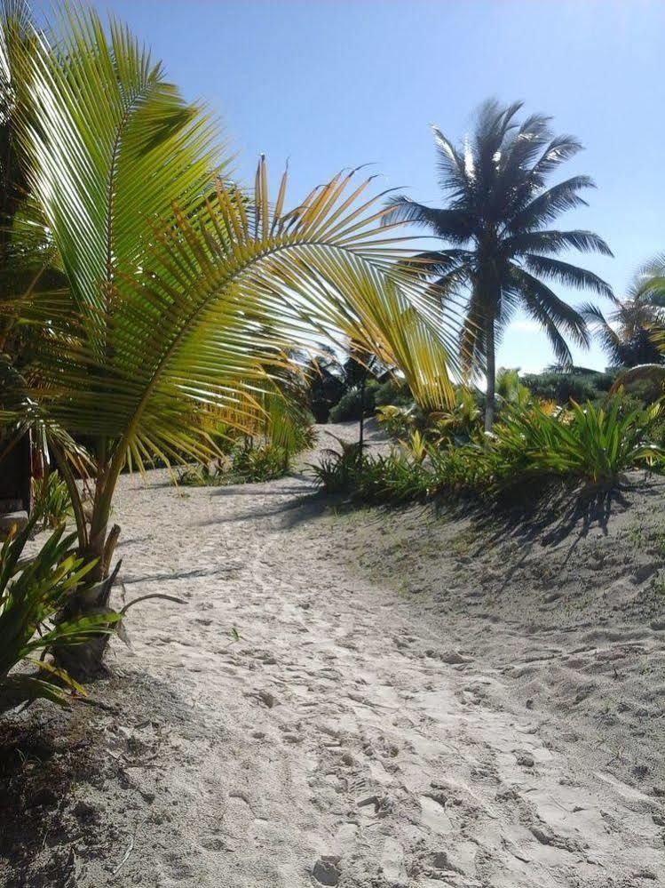 Hotel Zazil Kin Tulum Dış mekan fotoğraf
